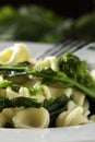 Orecchiette with Cime di Rapa Royalty Free Stock Photo