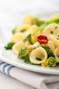 Orecchiette with Cime di Rapa Royalty Free Stock Photo