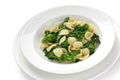 Orecchiette con le cime di rapa , italian pasta Royalty Free Stock Photo