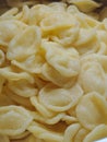 orecchiette fresh pasta. Handmade italian pasta.