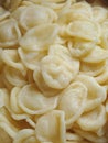 orecchiette fresh pasta. Itallian handmade pasta Royalty Free Stock Photo