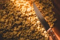 Orecchiette, Italian wheat semolina pasta, on a table and a knife Royalty Free Stock Photo