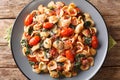 Orecchiette pasta with spinach in tomato sauce sprinkled with parmesan closeup in a plate. Horizontal top view Royalty Free Stock Photo