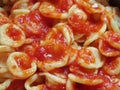 Orecchiette pasta with tomato sauce. Itallian handmade food.