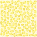 Orecchiette pattern Italian pasta. Vector