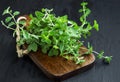 Oregano aromatic herb bunch on wooden board