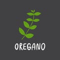 Oregano branch with lettering. Flat hand drawn italian herb for cooking isolated on dark background. Royalty Free Stock Photo