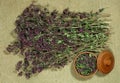 Oregano. Dry herb for use in alternative medicine, phytotherapy