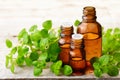 Oregano essential oil in the amber glass bottle and fresh oregano leaves Royalty Free Stock Photo