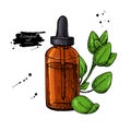 Oregano essential oil bottle and oregano leaves hand drawn vecto Royalty Free Stock Photo