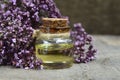 Oregano essential oil in a glass bottle with fresh blooming herb twigs on a dark background. Royalty Free Stock Photo