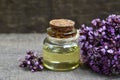 Oregano essential oil in a glass bottle with fresh blooming herb twigs on a wooden background. Royalty Free Stock Photo