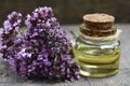 Oregano essential oil in a glass bottle with fresh blooming herb twigs on a wooden background. Royalty Free Stock Photo