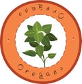 Oregano