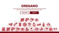 Oregano Herbal Plant Landing Header Vector