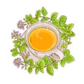 Oregano tea illustration