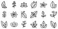 Oregano icons set outline vector. Herb aroma