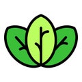 Oregano leaf icon vector flat Royalty Free Stock Photo