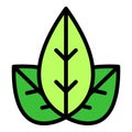 Oregano leaf icon vector flat Royalty Free Stock Photo