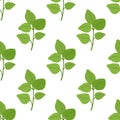 Oregano leaves seamless pattern, herb, condiment. Cartoon flat style. Vector