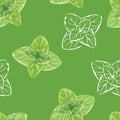 Oregano leaves seamless pattern. Vector cartoon color illustration of green herbs on green background.