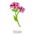 Oregano plant icon, cartoon style