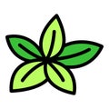 Oregano plant icon vector flat Royalty Free Stock Photo