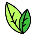 Oregano plant icon vector flat Royalty Free Stock Photo