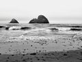 Oregon beach in black and white