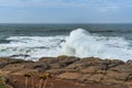 Oregon Boiler Bay Scene 7 Royalty Free Stock Photo