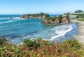 Oregon Chetco Point View