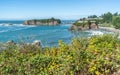 Oregon Chetco Point View 4