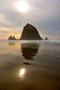 REFLECTING SAND BEACH