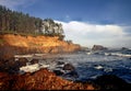 Oregon Coast - Boiler Bay Royalty Free Stock Photo