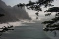 Oregon Coast at Ecola state Park I