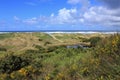 Oregon Coast Sand Dunes near Newport Beach, Pacific Northwest, USA Royalty Free Stock Photo