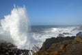 Oregon Coast, Shore Acres Park Royalty Free Stock Photo