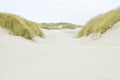 Oregon Coastal Sand Dunes Royalty Free Stock Photo