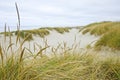 Oregon Coastal Sand Dunes Royalty Free Stock Photo