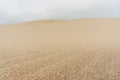 Oregon dunes