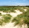 Oregon Dunes National Recreation Area, Oregon Coast, USA. Royalty Free Stock Photo