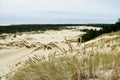 Oregon Dunes