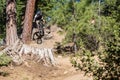 Oregon Enduro #2 - Bend - Curtis Keene