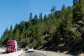 Oregon highway with pine tree forests in summer