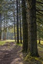 Silver Falls State Park is a state park with 9 waterfalls in the U.S.A. state of Oregon, located near Silverton. 