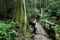 Oregon portraits