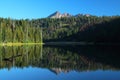 Oregon portraits