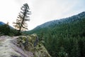 Oregon Rock Outcropping in Forest