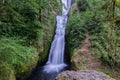 Oregon\'s Bridal Veil Falls in the Morning Royalty Free Stock Photo