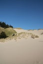 Oregon sand dunes Royalty Free Stock Photo